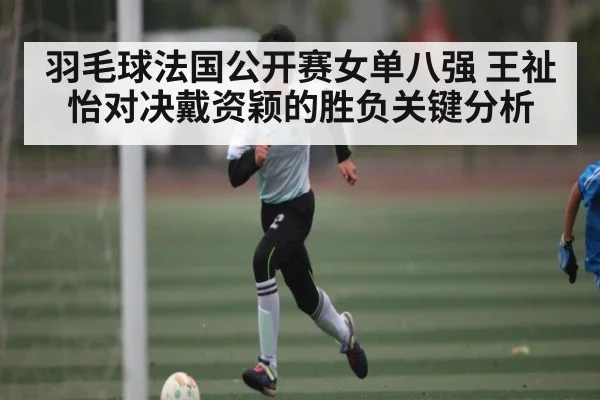 羽毛球法国公开赛女单八强 王祉怡对决戴资颖的胜负关键分析