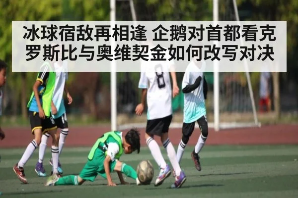 冰球宿敌再相逢 企鹅对首都看克罗斯比与奥维契金如何改写对决